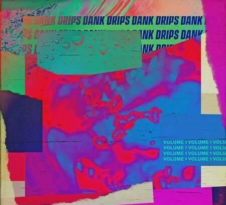 Pelham and Junior Dank Drips Vol.1 Sample Pack (Compositions And Stems) WAV